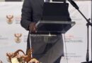 ENTREPRENEURSHIP AN ESSENTIAL CATALYST FOR JOB CREATION – DEPUTY MINISTER GODLIMPI