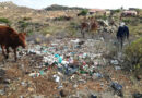 Rivers of nappies: how a university project is cleaning up rural villages and shaping national policy